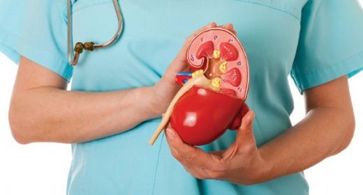 Böbrek Biyopsisi Nasıl Yapılır?